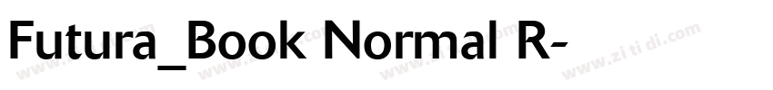 Futura_Book Normal R字体转换